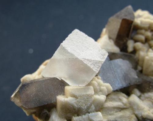 Fluorita incolora sobre Cuarzo ahumado y Ortosa. Papachacra. Belen. Argentina.
Tamaño cristal 12 mm. (Autor: Jose Luis Otero)