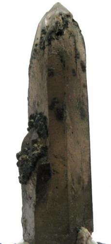 Cuarzo ahumado con Chamosita. Cantera Cillarga. Puenteareas. Pontevedra.
Tamaño 5.5x1.5 cm. (Autor: Jose Luis Otero)