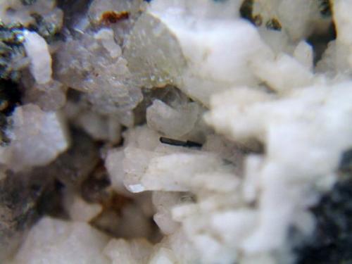 Turmalina sierra nevada Granada, cristal de 3mm.jpg (Autor: Nieves)
