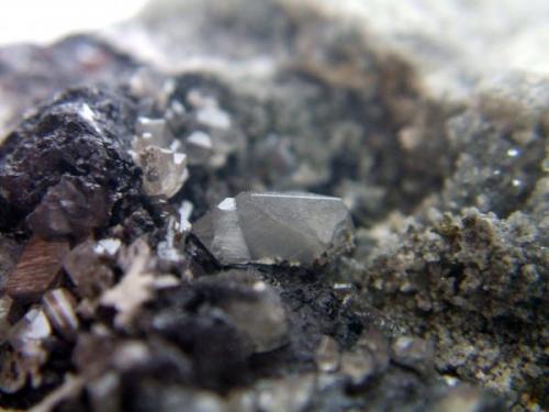 Cerusita filon del cobre Linare Jaén, cristal de 5mm.jpg (Autor: Nieves)