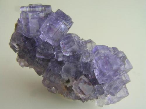 Fluorita.
Mina La Viesca-La Collada, Asturias, España.
Tamaño de la pieza 7,5x5x3,5 cm, cristales hasta 1,8 cm. Col. y foto Nacho Gaspar. (Autor: Nacho)