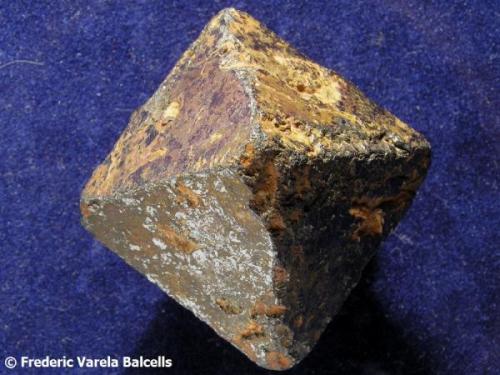 Magnetita, cristal octaédrico casi perfecto- Brasil (localidad desconocida, pero probablemente de Minas Gerais). Otra vista de la misma pieza. (Autor: Frederic Varela)