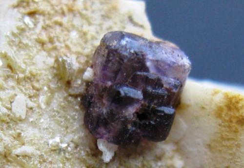 Fluorita, Albita, Ortosa, Mica. Cantera Cunha Duarte. Quintela de Azurara. Mangualde. Portugal.
Tamaño de la Fluorita 4x3 mm. (Autor: Jose Luis Otero)