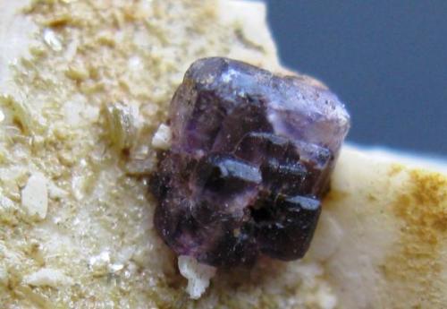 Fluorita, Albita, Ortosa, Mica. Cantera Cunha Duarte. Quintela de Azurara. Mangualde. Portugal.
Tamaño de la Fluorita 4x3 mm. (Autor: Jose Luis Otero)