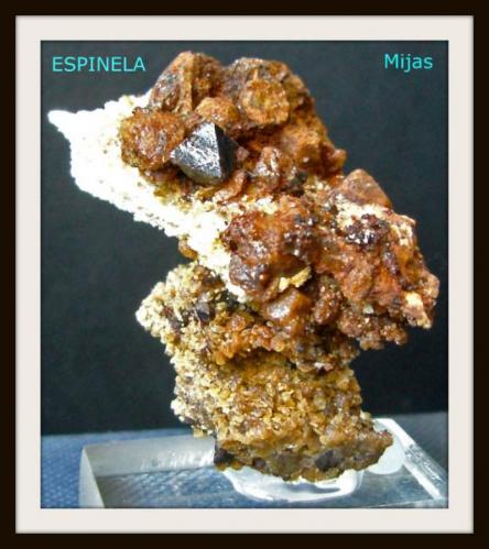 ESPINELA PLEONASTA SOBRE CLINOHUMITA Sierra deMijas -Mijas -Malaga -4.5cm x 2cm  cristal 5mm (Autor: Mijeño)