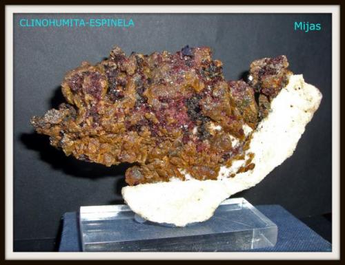 CLINOHUMITA-ESPINELA- Sierra de Mijas- Mijas-Malaga-8cm x 12cm (Autor: Mijeño)