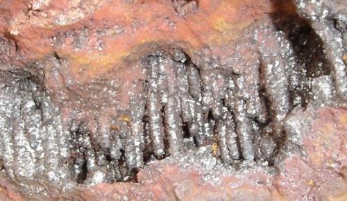 Espeleotemas (1,2 cm) de la goethita en laterita-Morro das Balas, Formiga-MG (Autor: Anisio Claudio)