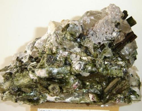 Turmalinas (quizás Elbaitas) verde y bicolor. Tamaño de la muestra-18cm. Cruzeiro Mine, Governador Valadares, MG-Brasil (Autor: Anisio Claudio)