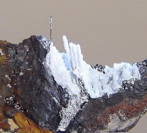 Espeleotemas de goethita e cuarzo (branco (1cm)- Morro das Balas, Formiga-MG-Brasil. Lamentablemente, se ha roto esta muestra (Autor: Anisio Claudio)