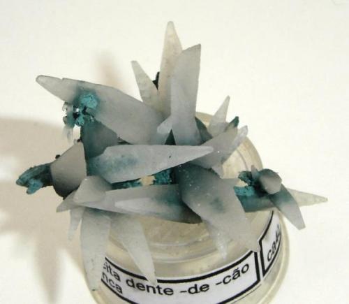Calcita dente-de-cão- cristales de 2,5cm. Origem desconocida (Autor: Anisio Claudio)
