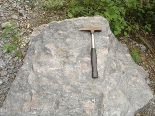 Estromatolito (50cm). Mineração Cinderela, Córrego Fundo,MG- Brasil (Autor: Anisio Claudio)