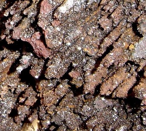 Espeleotemas de goethita/hematita (1,5cm). Tamaño de la muestra- 10cm. Morro das Balas, Formiga-MG-Brasil (Autor: Anisio Claudio)