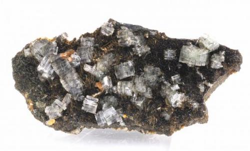 Fluorapatito y Turmalina - Minas da Panasqueira - Barroca Grande - Covilha - Castelo Branco - Portugal  - 7,5 x 3,7 x 1,2 (Autor: Martí Rafel)