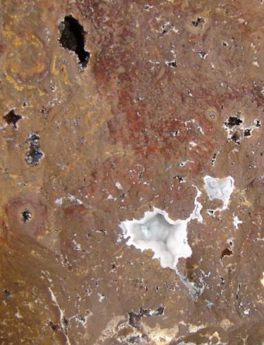 Geodas de cuarzo (1cm) en laterita. Morro das Blas, Formiga, MG- Brasil (Autor: Anisio Claudio)