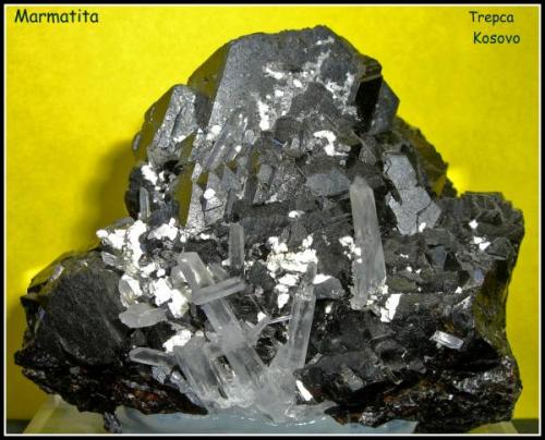 MARMATITA - Trepca - Kosovo  - 5.5cm x 6.5cm (Autor: Mijeño)