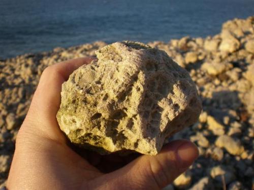 Geoda de  Celestina sin abrir Langre cantabria.JPG (Autor: PabloR)