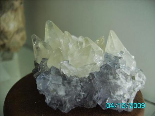 Calcita y Fluorita
Mina Emilio, Loroñe, Asturias
cristal de Calcita más grande: 2,4 cms.
año 2009 (Autor: Gelo)