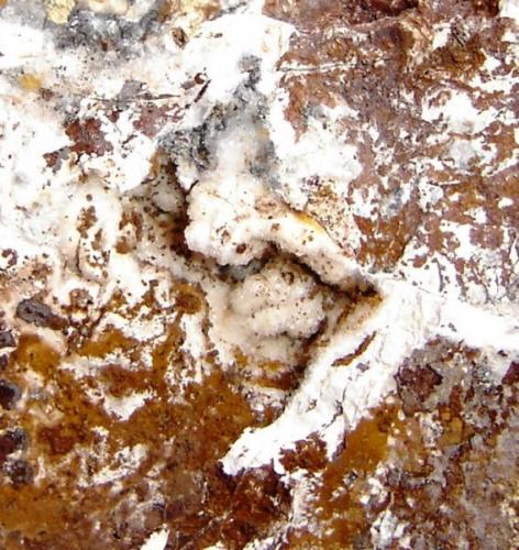 Geoda de cuarzo (1cm) con goethita/hematita en sílex. Morro das Balas, Formiga, Minas Gerais- Brasil (Autor: Anisio Claudio)