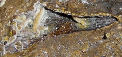 Geoda de cuarzo (4cm) en crosta ferruginosa. Morro das Balas, Formiga, Minas Gerais- Brasil (Autor: Anisio Claudio)