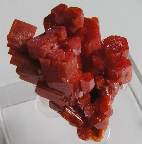 Vanadinita.
Mina Geronimo, La Paz Co., Arizona, E.E.U.U.
Tamaño: 3x2,2x1,6 cm, con cristales hasta 1,3 cm. Col. y foto Nacho Gaspar. (Autor: Nacho)