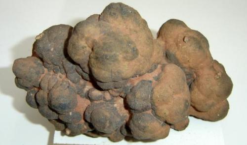 Manganocrete botrioidal (17cm). BR 354 C/BR 262, município de Córrego Danta, Minas Gerais- Brasil (Autor: Anisio Claudio)