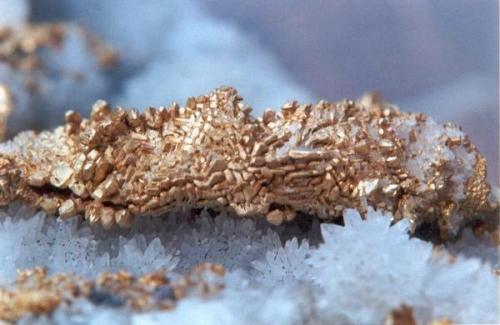 Oro Nativo.
Rosia Montana, Alba, Transylvania, Rumanía.
Tamaño del grupo 3,2 cm. Detalle de una pieza de 7,1x3x1,2 cm. Grupo de cristales de Oro Nativo (var. Electrum, con un 32% de Ag). Col. y foto Nacho Gaspar. (Autor: Nacho)