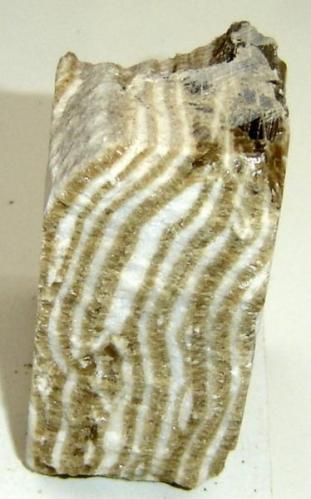 Evaporita (yeso y anhidrita) 13cm. Piaui- Brasil (Autor: Anisio Claudio)