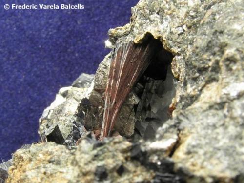 Löllingita, ferroactinolita, andradita. Mina Carlés, Carlés, Salas (Asturias).  Detalle de la pieza anterior. Longitud del haz de ferroactinolita  1,5 cm. Debajo se aprecia la löllingita cristalizada. (Autor: Frederic Varela)