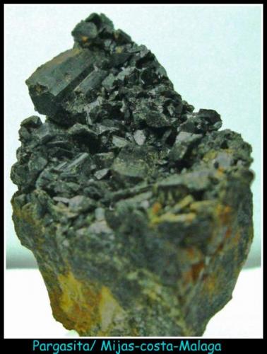 PARGASITA-Mijas-costa-Málaga-5.5cm x 3cm x 5.5cm (Autor: Mijeño)