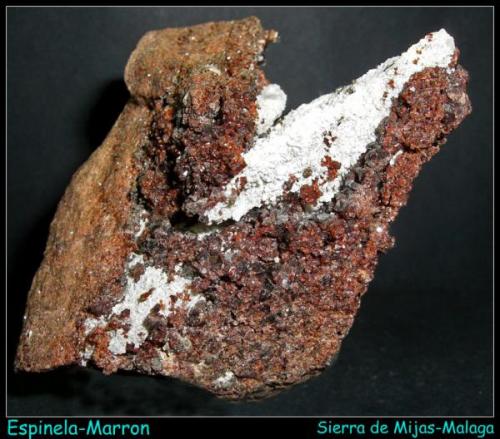 ESPINELA marrón-Sierra de Mijas-Málaga-7.5cm x 6cm (Autor: Mijeño)