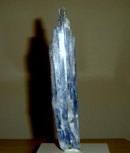 Cristales de cianita (17cm). Origen desconocida. Probablemente de unas ciudad de Minas Gerais, Brasil (Autor: Anisio Claudio)