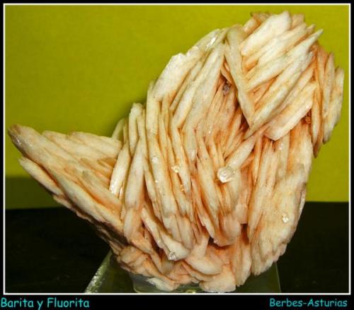 BARITA Y FLUORITA- Berbes -Asturias -7cm x 6.5cm (Autor: Mijeño)