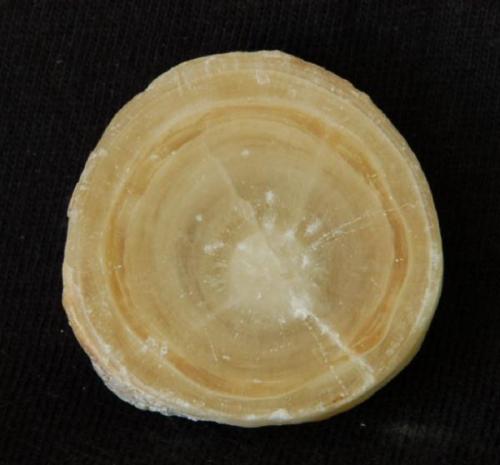 Onice calizo - Marruecos - 2,7 cm (Autor: Joan Martinez Bruguera)