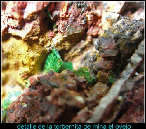 detalle de la torbernita (Autor: Mijeño)