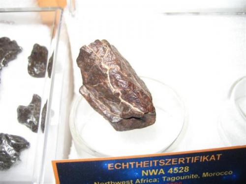 Meteorito NWA 4528 Tagounite (Marruecos) (Autor: Khalid)