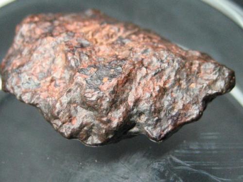 Condrita ordinaria NWA de Erfoud Marruecos encontrada en el año 2004 (Autor: Khalid)