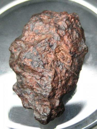 Condrita ordinaria NWA de Erfoud Marruecos encontrada en el año 2004 (Autor: Khalid)