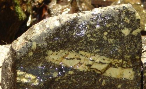 Fenocristal de plagioclasa (11 cm) en diabasa. Cascada Cerâmiga, Formiga, MG, Brasil. (Autor: Anisio Claudio)
