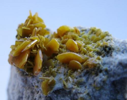 Wulfenita. Mina San Hipolito. Rambla de Pla. Sierra de Oria. Almeria.
Encuadre 30 mm. (Autor: Jose Luis Otero)