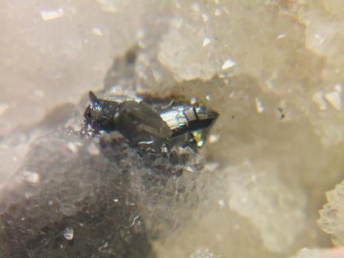 Tetraedrita freibergita analizada mina Catalina Hiendelaencina Guadalajara Castilla la Mancha, cristal 4mm (Autor: Nieves)