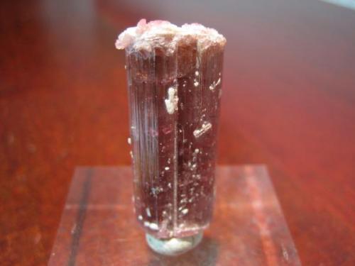 Elbaita var. rubelita. 3.70x2.80x1.10. Tourmaline Queen mine. Pala. California. USA. (Autor: Gonzalo Sáez)