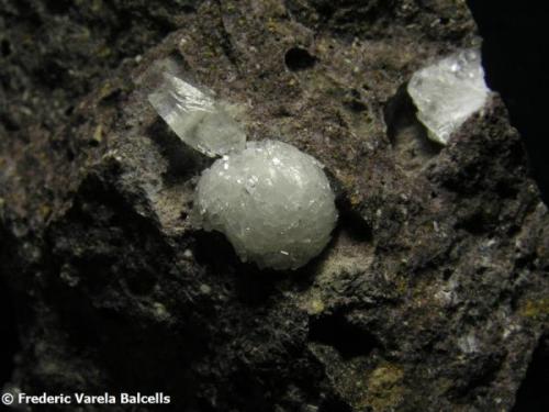 Calcita.
Pedrera Can Súria, Maçanet de la Selva, La Selva, Girona, Catalunya, España.
 Diámetro del cristal mayor 1 cm. (Autor: Frederic Varela)