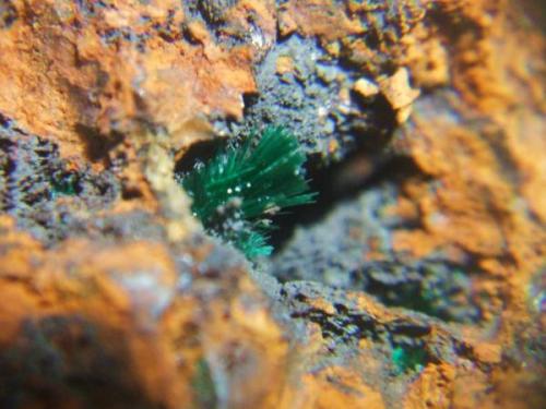 Malaquita mina cortijo Virginia Escullar Almeria, cristales 5mm (Autor: Nieves)