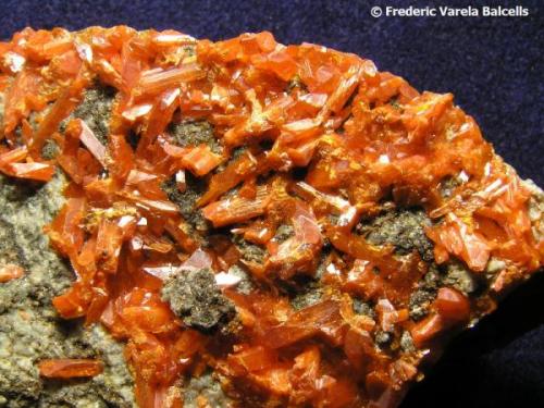 Crocoita.
Crocoite Mine, Montes Uspenskaya, Berezovsk, Urales, Rusia. 
Encuadre 4,5 x 3,5 cm.
Detalle de la pieza anterior. (Autor: Frederic Varela)