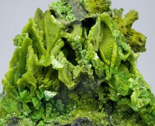 Detalle. Colección Nacho Gaspar, foto Fabre Minerals. (Autor: Nacho)