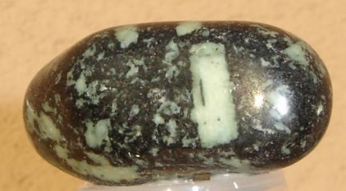 Metadiabasa blastoporfirítico pulido (4 cm). Mina Santa, Formiga, MG, Brasil. (Autor: Anisio Claudio)