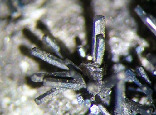 Detalle cristales de Gratonita, ancho de la foto 5 mm. aprox. Col. y foto Nacho Gaspar. (Autor: Nacho)