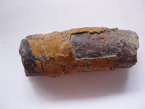 Piritas limonitizadas sobre Thalassinoides
Zona Miramar, Montjuic, Barcelona, Catalunya, España.
Tamaño 8 x 3 cm.
Ejemplar en forma de "erizo" correspondiente a zona intermedia de la madriguera, se observa rotura de la capa superficial apreciandose el núcleo de mineral férrico. (Autor: Javier Garcia Canals)
