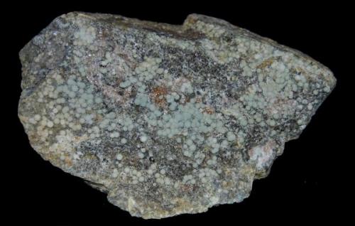 FLUORITA globular (Singuerlín, Santa Coloma de Gramanet, Barcelona)
Tamaño: 20 x 11 cm (Autor: Marc C)