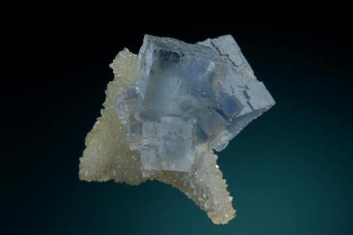 Cubo de fluorita con un bello color verde-azulado  de unos 4 cm de arista implantado sobre una lámina de cristales de cuarzo procedente de la mina La Viesca.
Fotografía: Jeff Scovil. (Autor: JRG)